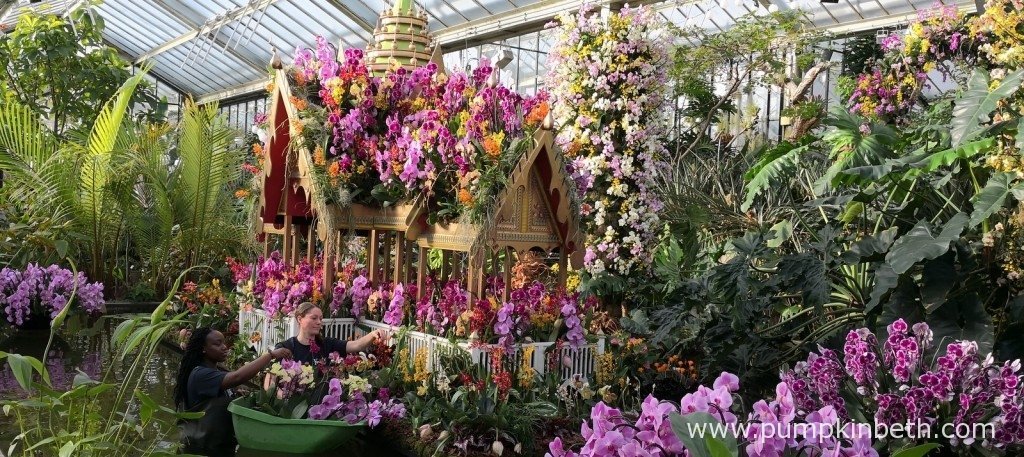 A Floral Extravaganza in Thailand: The Splendid Orchid Gardens