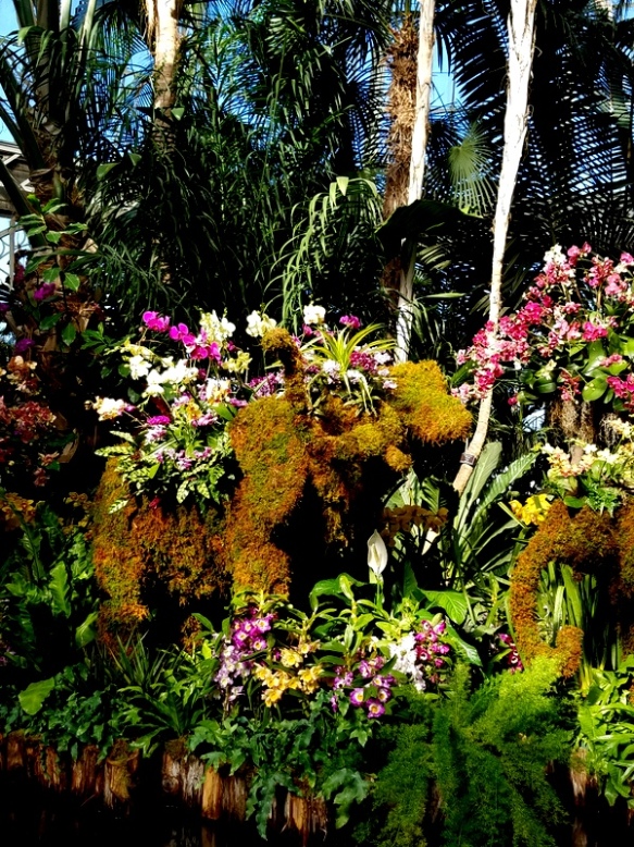 A Floral Extravaganza in Thailand: The Splendid Orchid Gardens