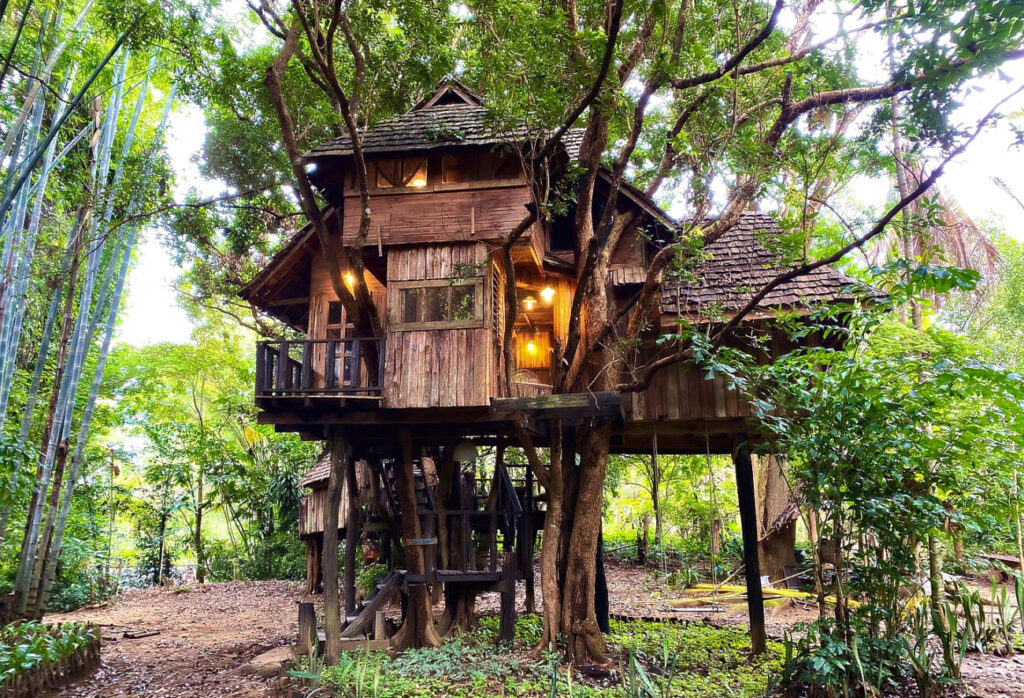 Discover the Extraordinary Treehouse Retreats in Thailand