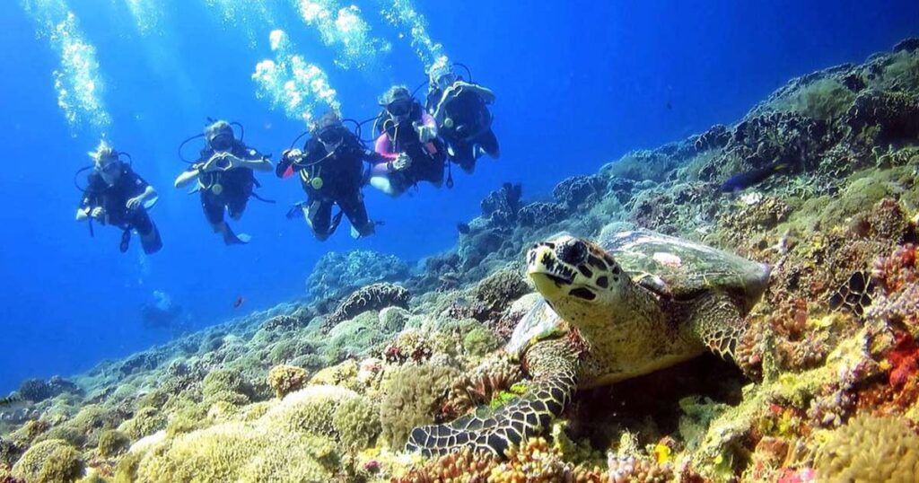 Discover the Hidden Gems: Thailands Top Scuba Diving Spots