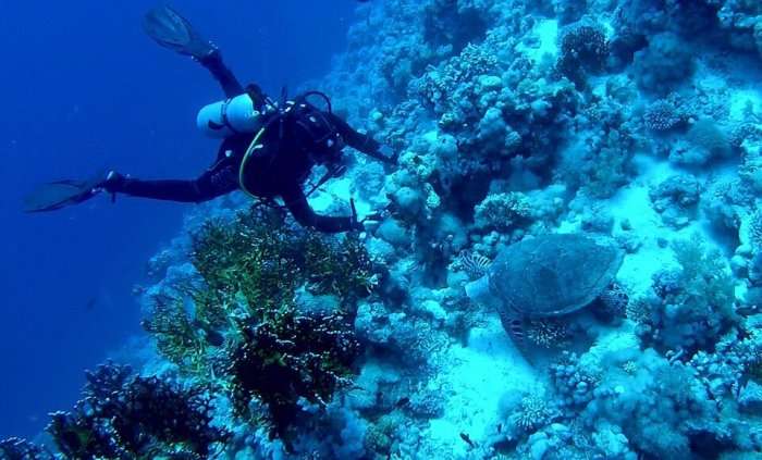 Discover the Hidden Gems: Thailands Top Scuba Diving Spots