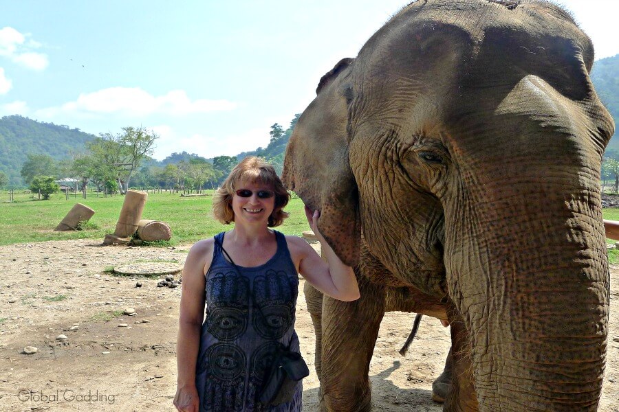 Ethical Encounters with Thailands Majestic Elephants