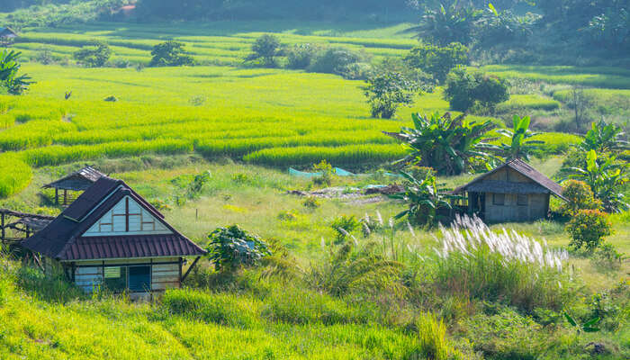 Exploring Rural Communities in Thailand: Embracing the Traditional Thai Way of Life