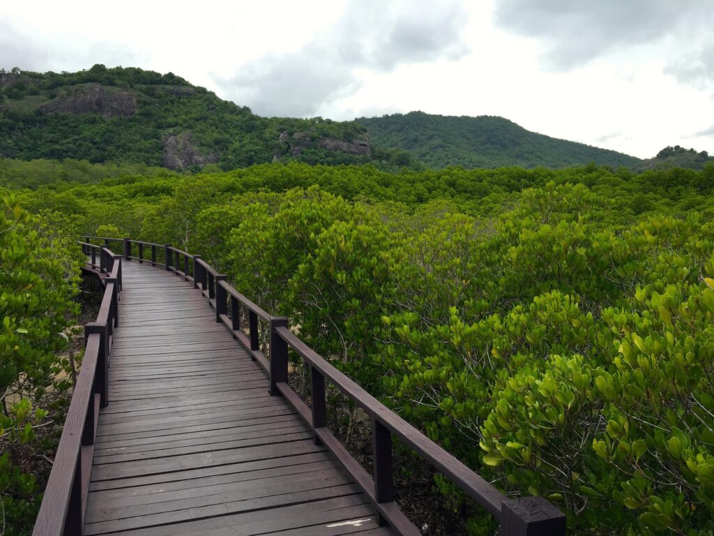 Exploring Thailands Breathtaking National Parks