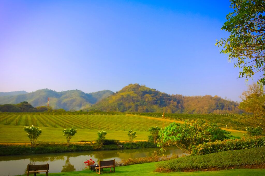 Exploring Thailands Breathtaking Vineyards and Landscapes