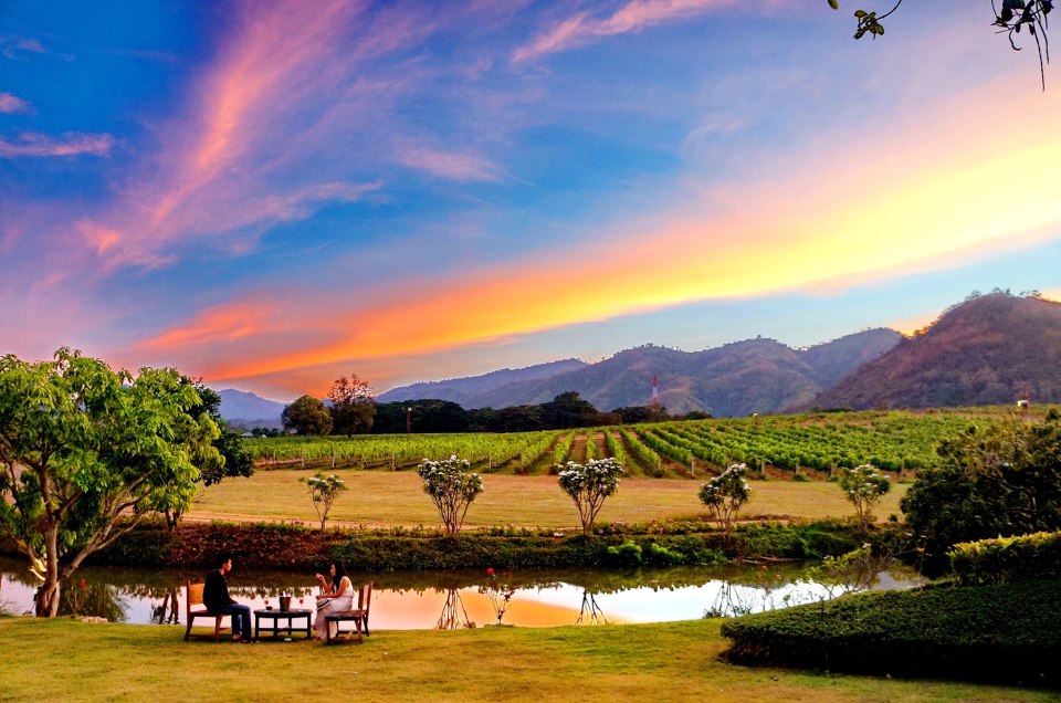 Exploring Thailands Breathtaking Vineyards and Landscapes