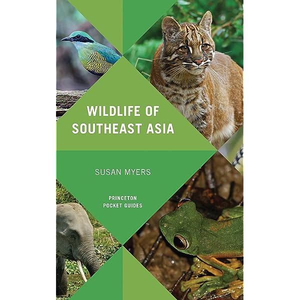 Exploring Thailands Exotic Wildlife: A Guide for Nature Enthusiasts