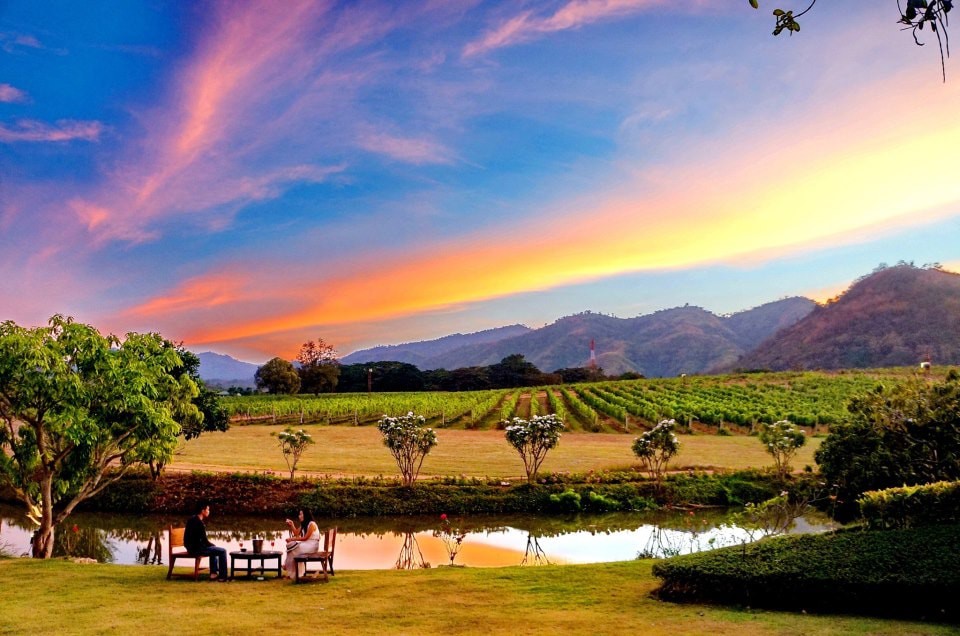 Exploring Thailands Vineyards: A Guide for Wine Enthusiasts