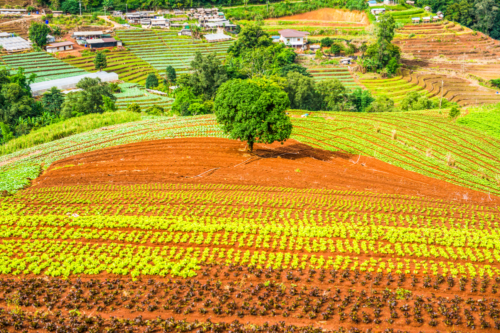 Exploring the Hidden Gems: Thailands Most Charming Small Towns and Villages