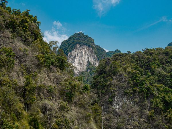 Exploring the Untouched Wilderness: Thailands National Parks