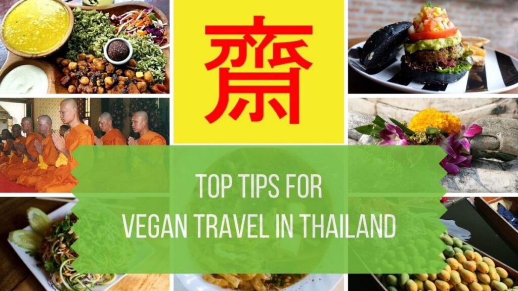 Exploring the Vegan and Vegetarian Scene in Thailand: Top Culinary Hotspots