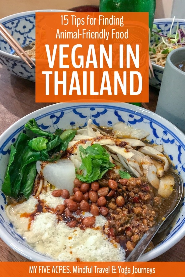 Exploring the Vegan Cuisine in Thailand: A Comprehensive Dining Guide