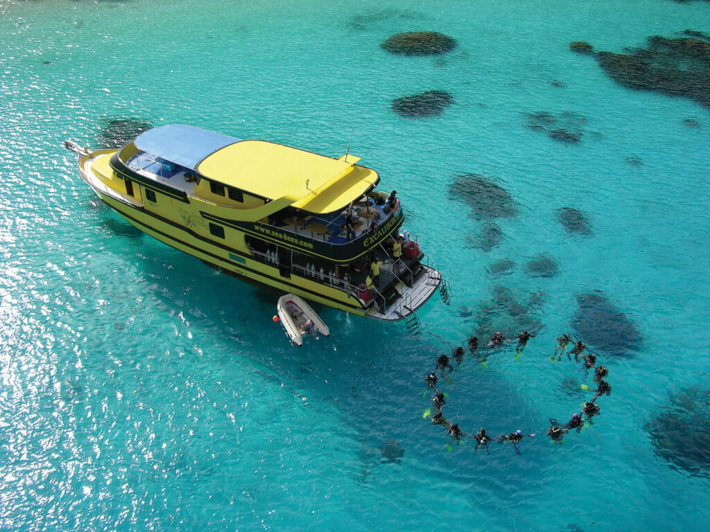 Exploring the Vibrant Underwater World of Thailand