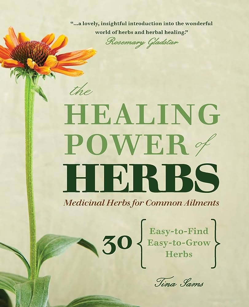 The Healing Power of Thai Herbs: A Comprehensive Guide