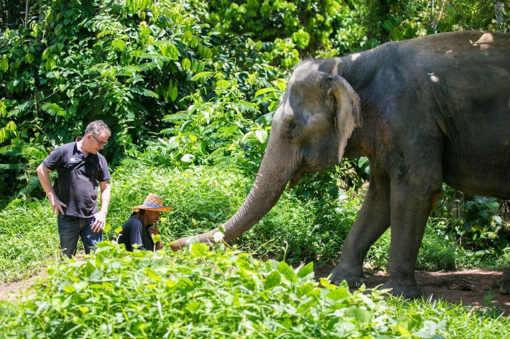 The Ultimate Guide to Ethical Animal Encounters in Thailand