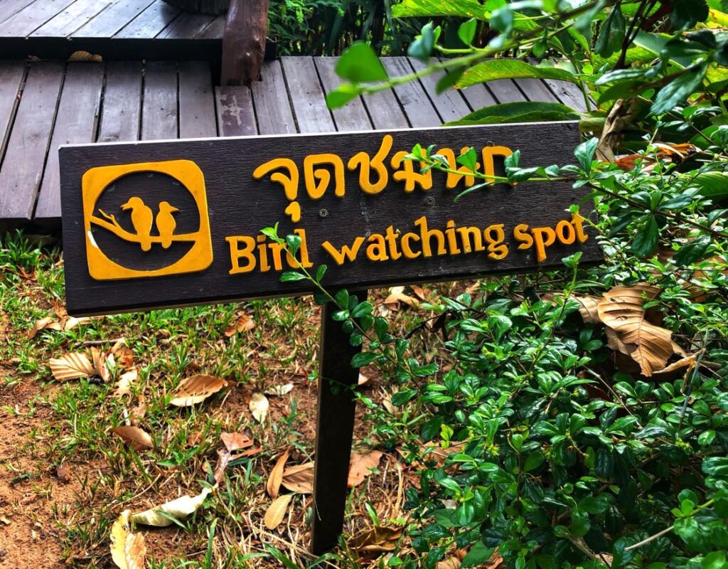 Top Bird Watching Spots in Thailand