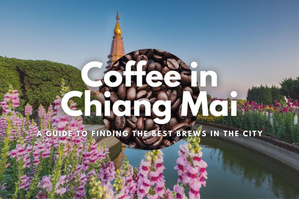Uncovering Thailands Vibrant Coffee Culture