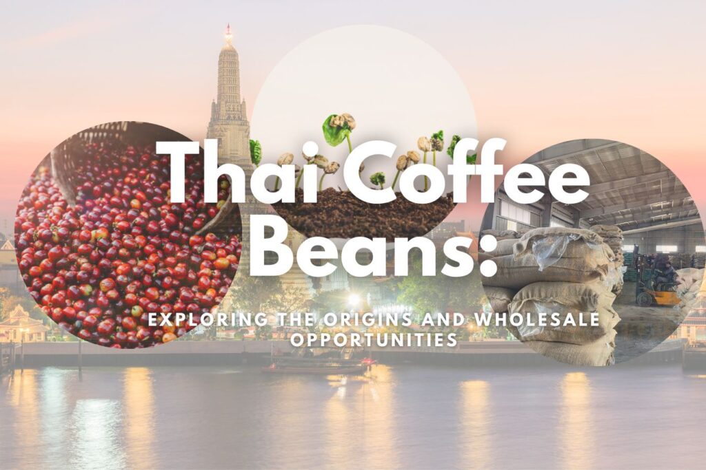 Discovering the Rich Taste of Thai Coffee: From Bean to Cup