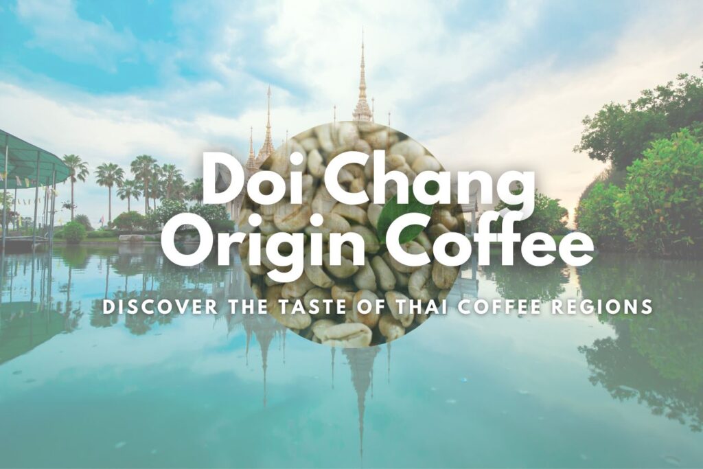 Discovering the Rich Taste of Thai Coffee: From Bean to Cup