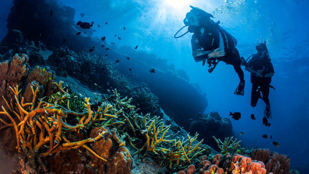 Discovering the Stunning Dive Sites of Koh Tao: A Comprehensive Scuba Diving Guide