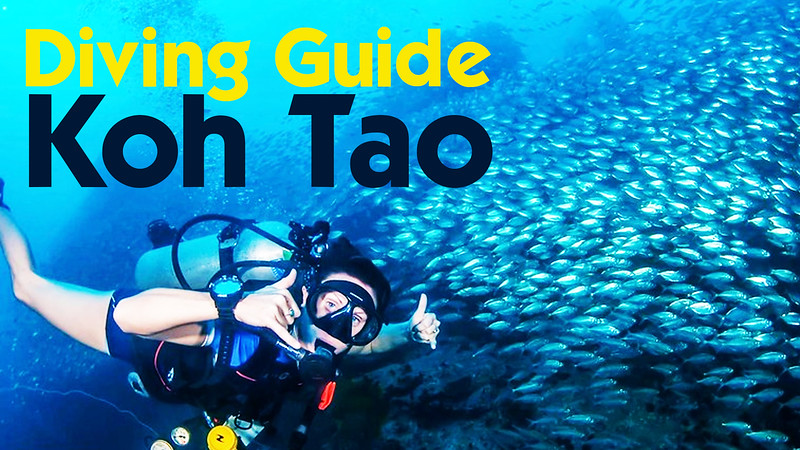 Discovering the Stunning Dive Sites of Koh Tao: A Comprehensive Scuba Diving Guide