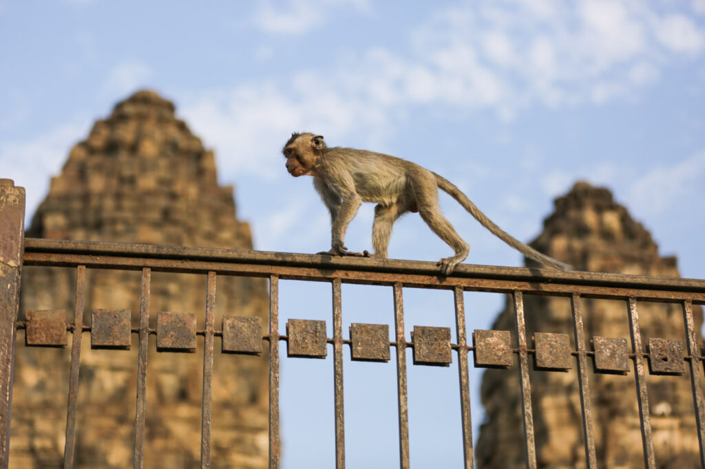 Exploring Lopburi: A Hidden Gem in Thailand