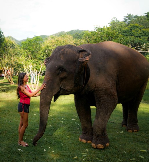 Discover the Wonder: The Incredible Elephant Sanctuary Experience in Thailand