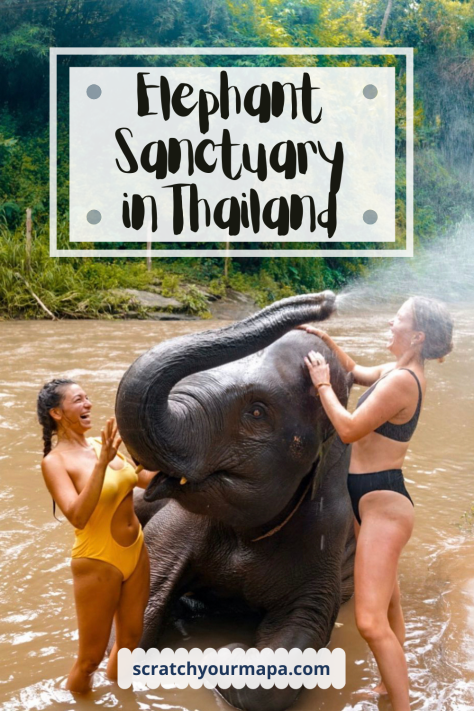 Discover the Wonder: The Incredible Elephant Sanctuary Experience in Thailand