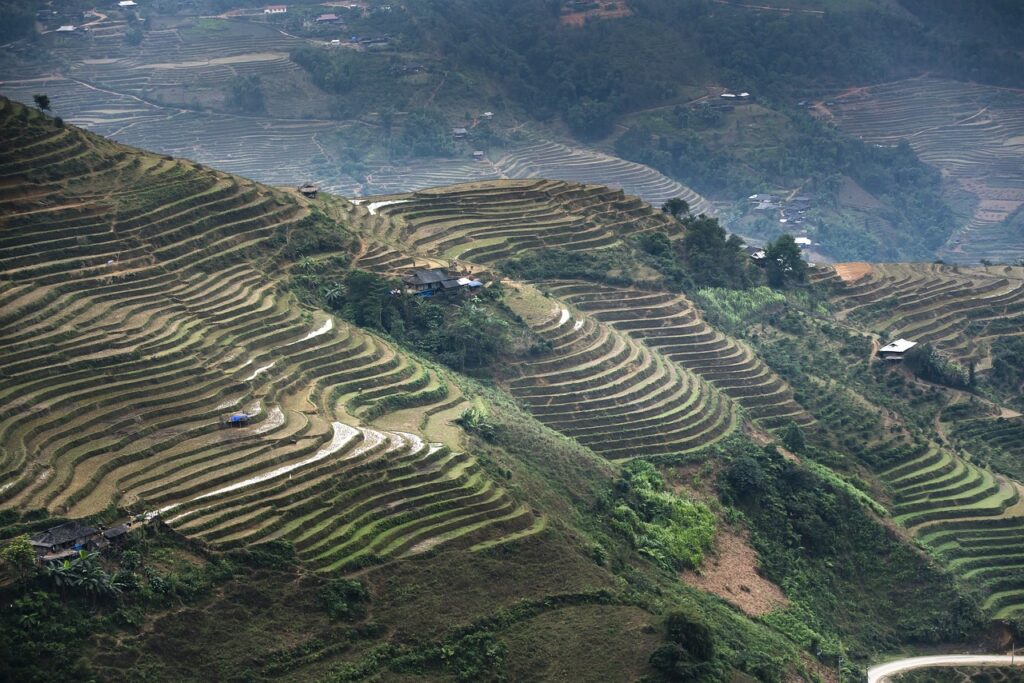 The Bountiful Rice Terraces: A Journey through Thailands Scenic Landscapes