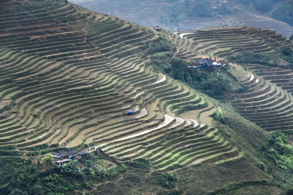 The Bountiful Rice Terraces: A Journey through Thailands Scenic Landscapes