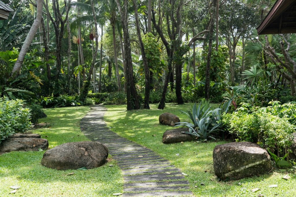 Centara Reserve Samui